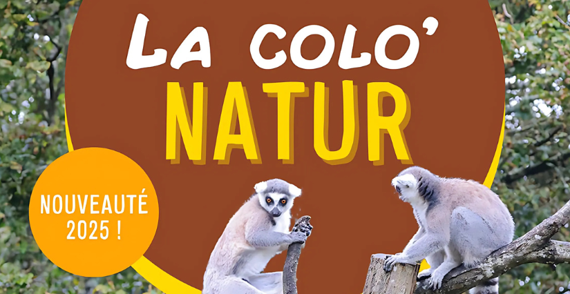 "La colo'Natur", activités pour découvrir le métier de soigneur animalier au Natur'Zoo de Mervent