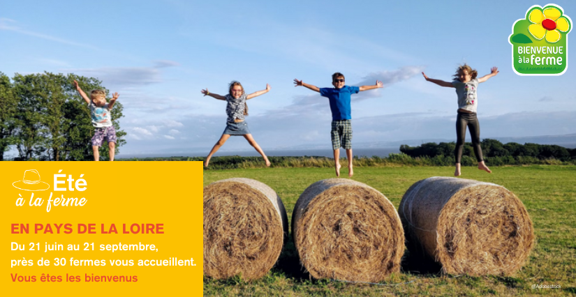 Fêtez l'été à la ferme en famille avec le réseau Bienvenue à la ferme Vendée
