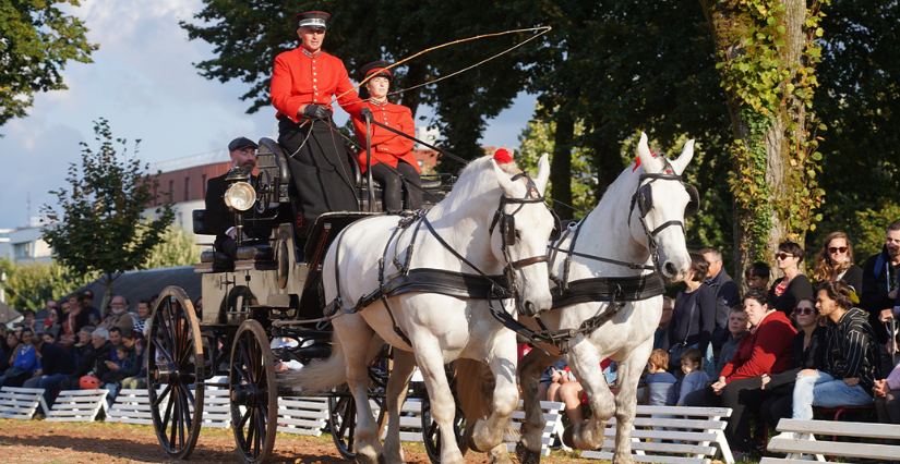 Journées Européennes du patrimoine au Haras de la Vendée