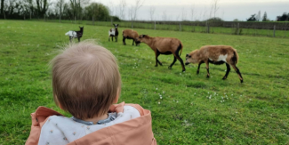 Visiter une ferme avec les enfants en Vendée !