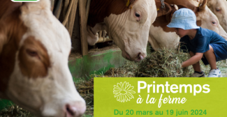 Le printemps à la ferme, visites et animations avec Bienvenue à la ferme Vendée 