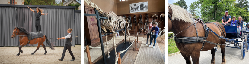 Le Haras de la vendée