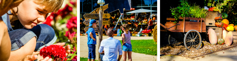 Potager extraordinaire