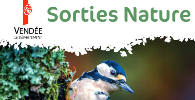 Les sorties nature et les espaces naturels avec le Conseil départemental de la Vendée
