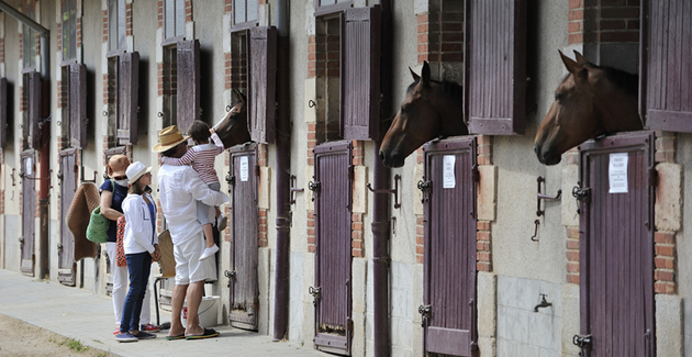 Le Haras de la Vendée, le monde des chevaux à la Roche sur Yon