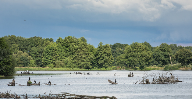 La Cité des Oiseaux, un rendez-vous avec la nature aux Landes Génusson