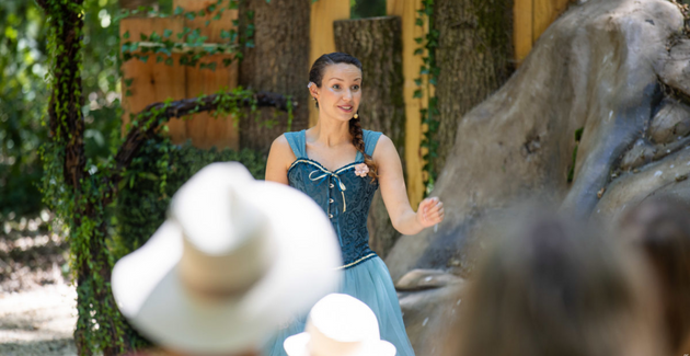 "Les Portes de Féérie", spectacle au Château des Essarts