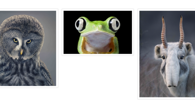 Tim Flach, exposition temporaire au fil de l'eau à la Maison de la Rivière