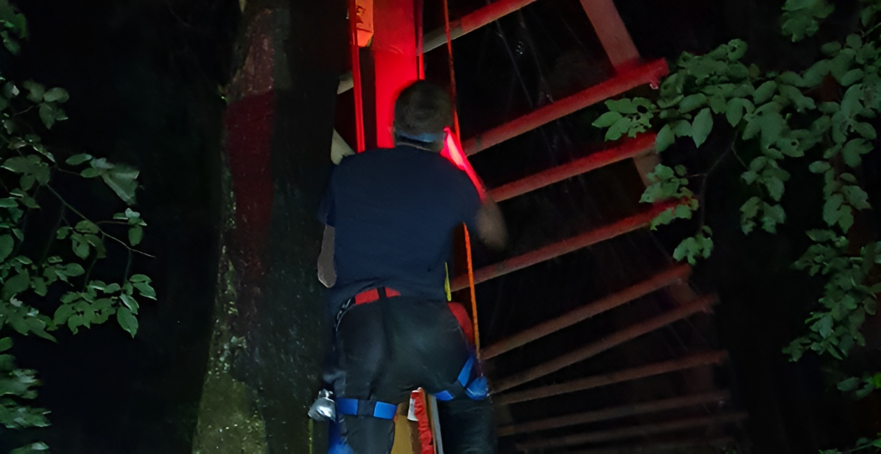 "Accrobranche nocturne", experience insolite à Tépacap Vendée