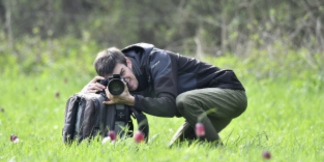 "Fleurs des marais", stage de macrophotographie à La Réserve des Huttes