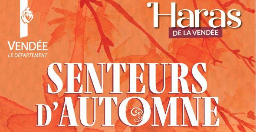 Senteurs d'Automne, animations au Haras de la Vendée, La Roche-sur-Yon