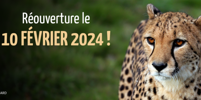 Réouverture de Natur'Zoo à Mervent