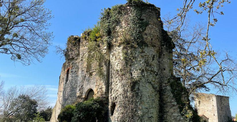 Le Château des Essarts : une aventure ludique pour toute la famille