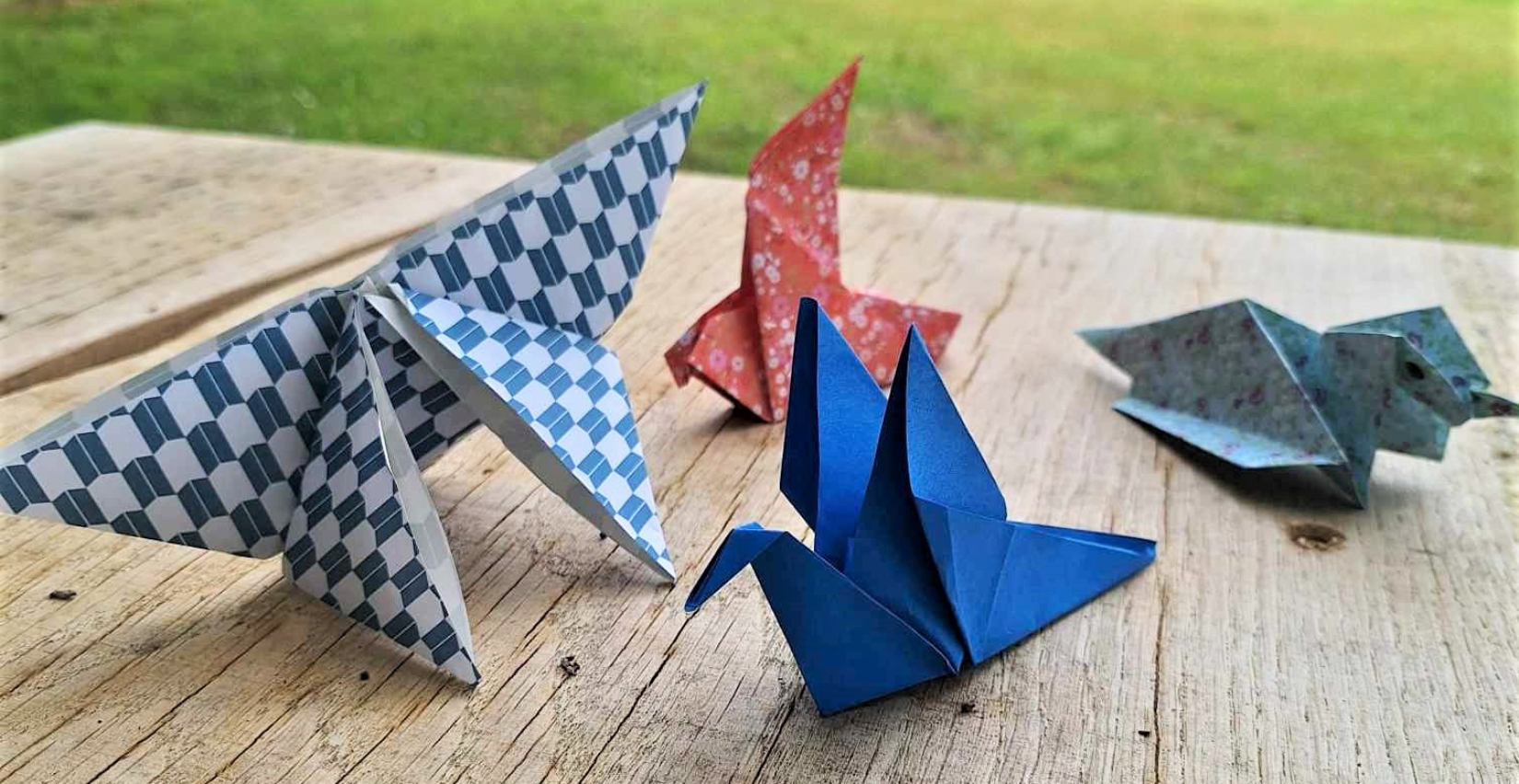 "Origami nature", atelier à La Cité des Oiseaux aux Landes Génusson