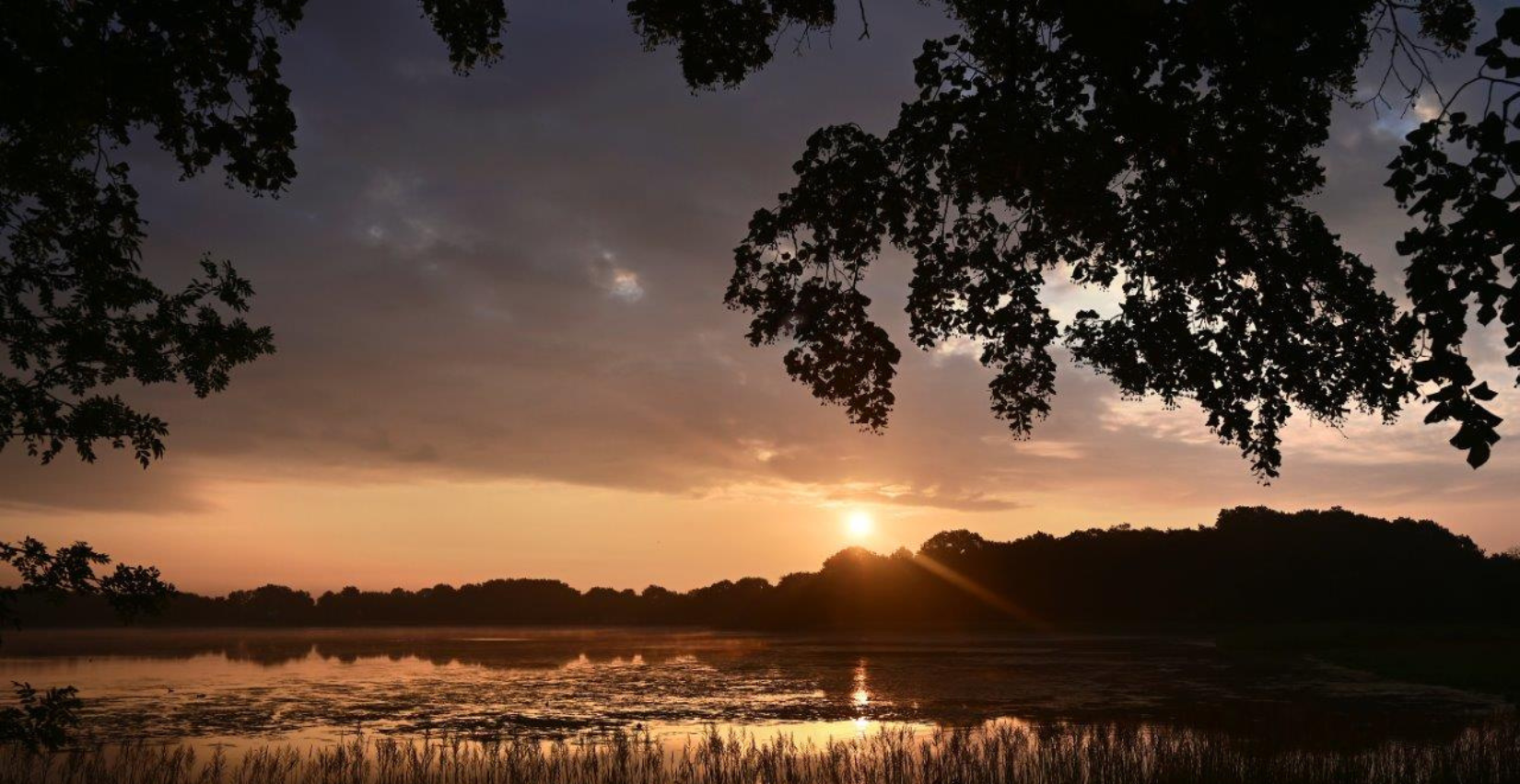 La Cité des Oiseaux au crépuscule, balade nocturne aux Landes Génusson