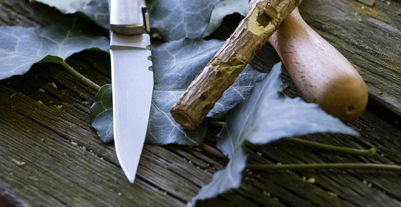 Atelier "Jeux de nature", à la Réserve des Huttes