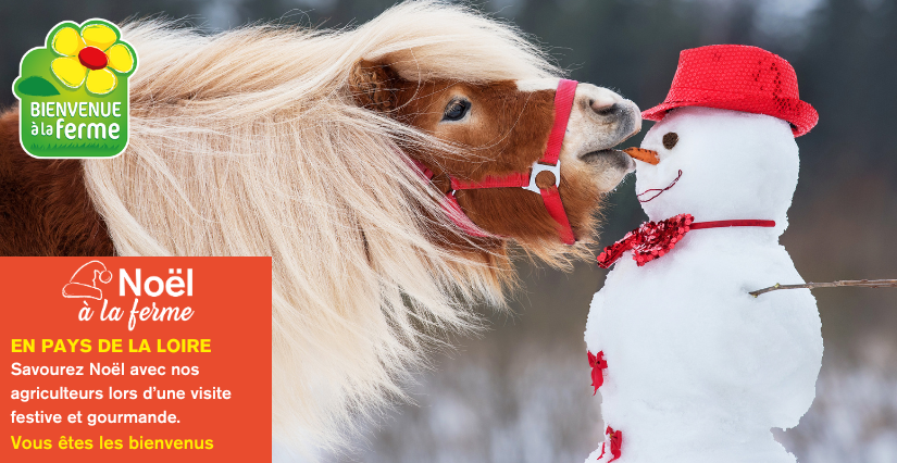 Noël à la ferme, animations en famille avec Bienvenue à la ferme en Vendée