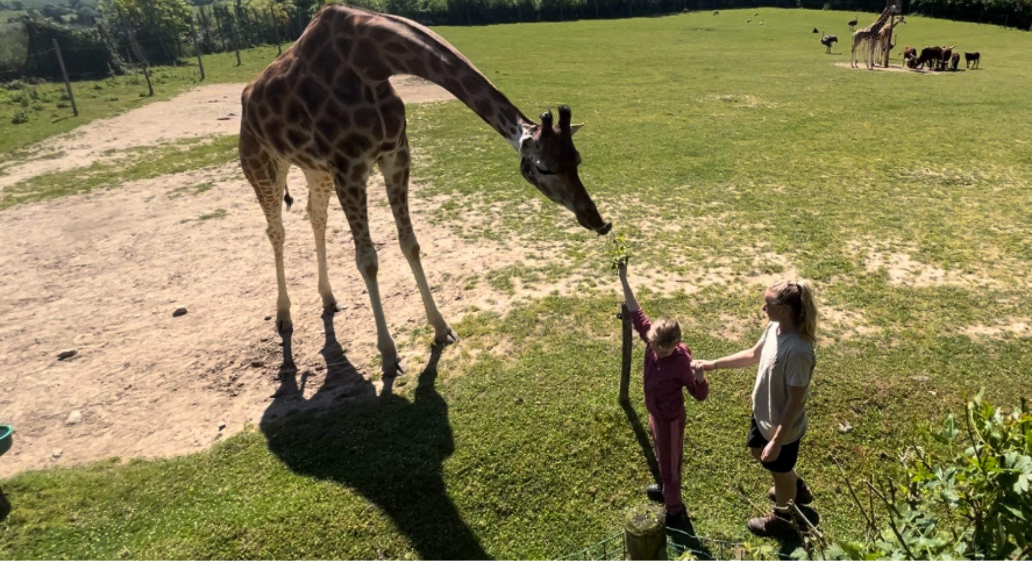 "Tournée des nourrissages" et animaux incroyables au Natur'Zoo de Mervent