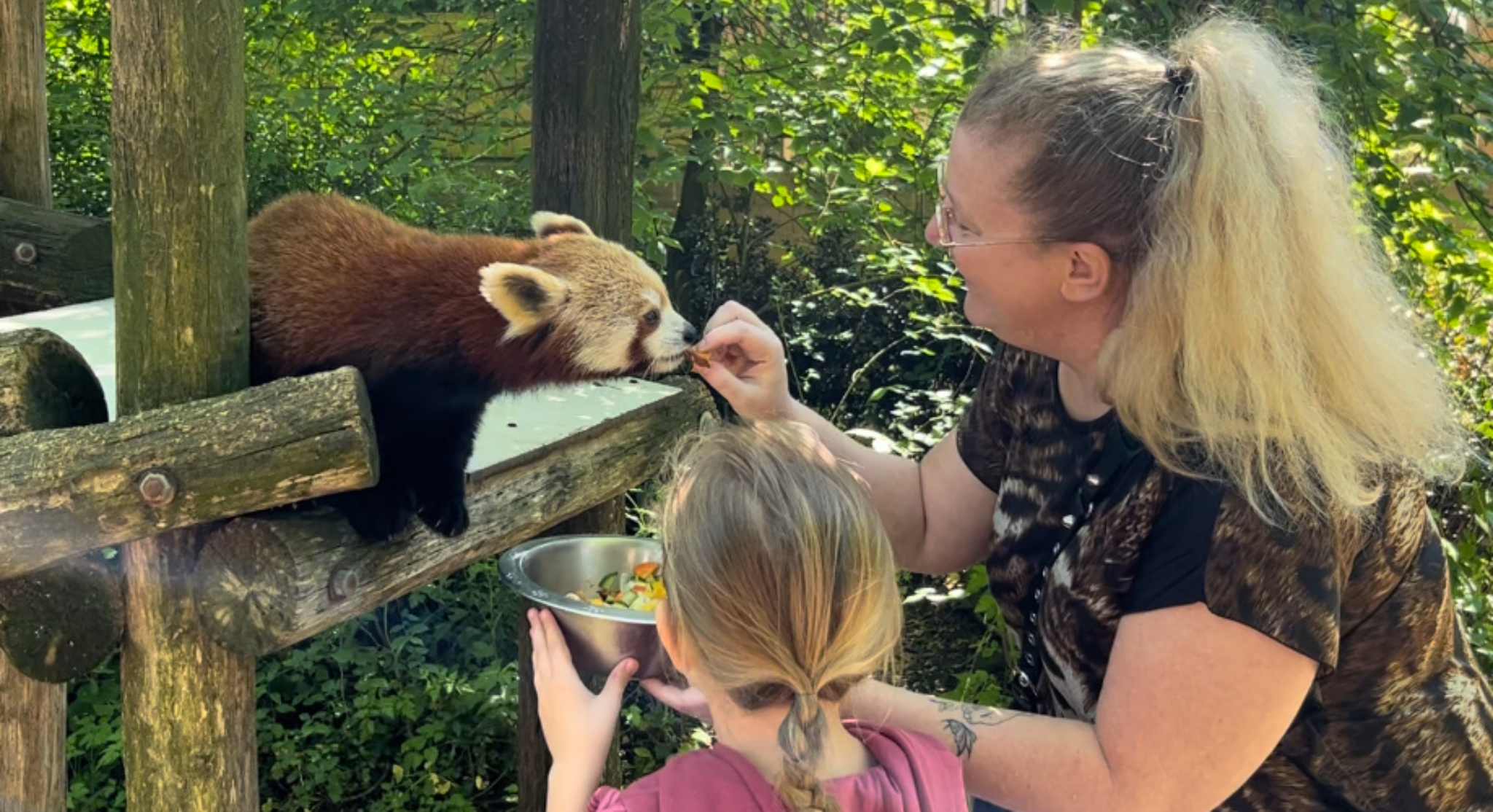 Prolongez l'été au Natur'zoo de Mervent !