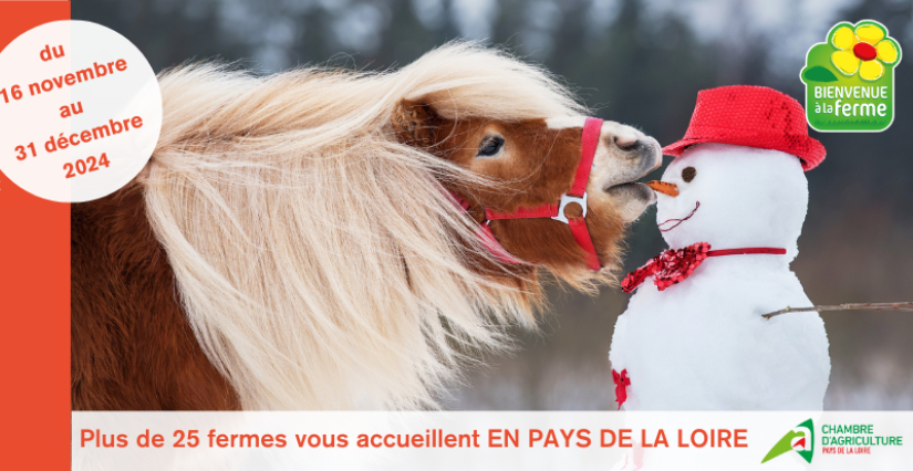 Portes ouvertes de la Ferme La Bel'Glace du réseau Bienvenue à la ferme en Vendée