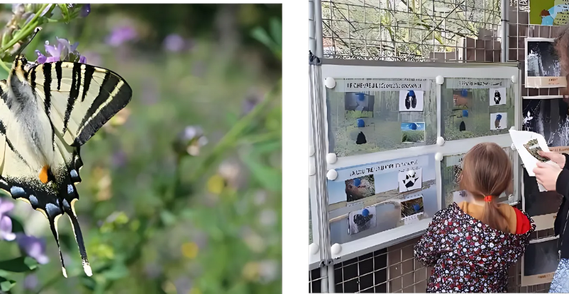 "Fête du Printemps", animation au Zoo des Sables