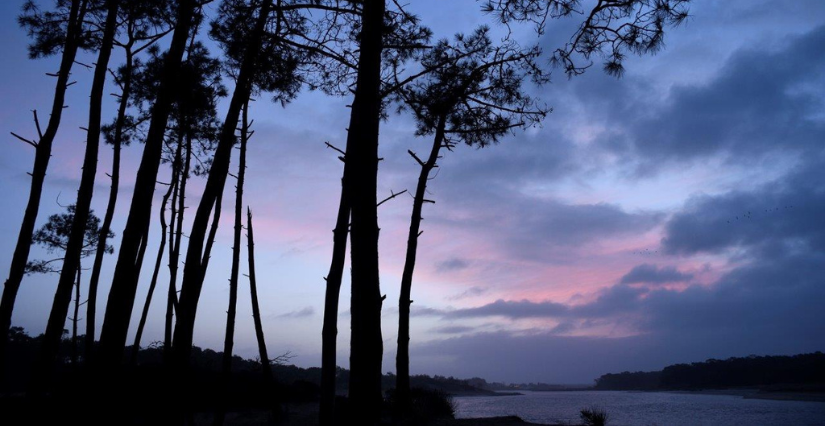 Sortie "La nature sous les étoiles" à la Pointe du Payré à Jard-sur-Mer
