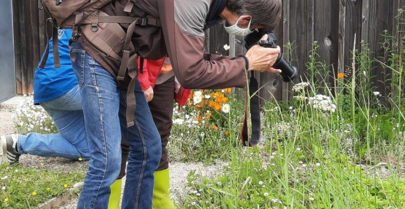 © Conseil départemental de la Vendée Stage de macrophotographie "les insectes dans le marais" à la Réserve des Huttes