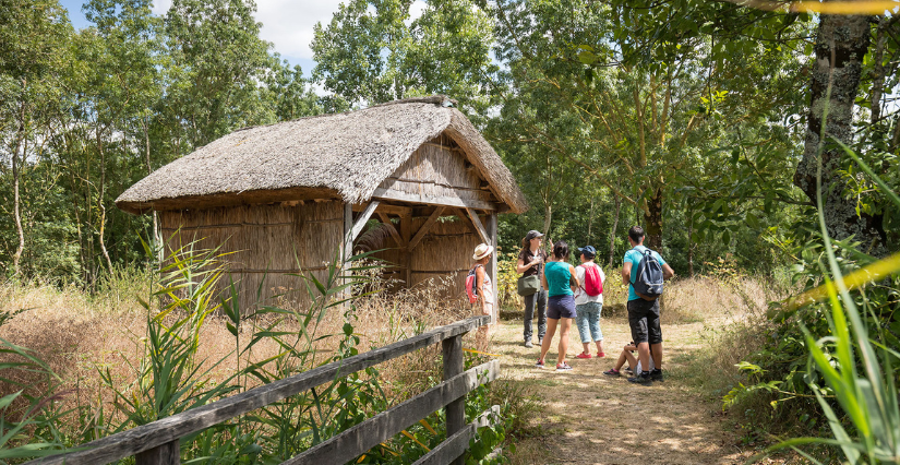 Journées du patrimoine : "Mission gestion écologique d’un espace naturel sensible" à la Réserve des Huttes