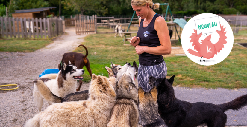 Testez la Cani-randonnée en famille avec Doggy'Sport à la Roche-sur-Yon