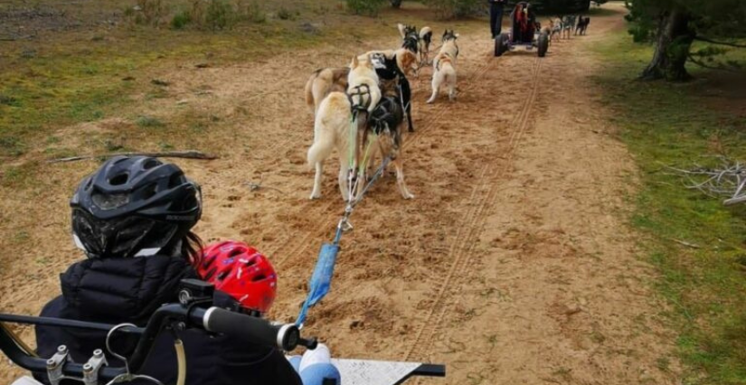 Réservez votre session de Cani-Kart en famille avec Doggy'Sport à la Roche-sur-Yon