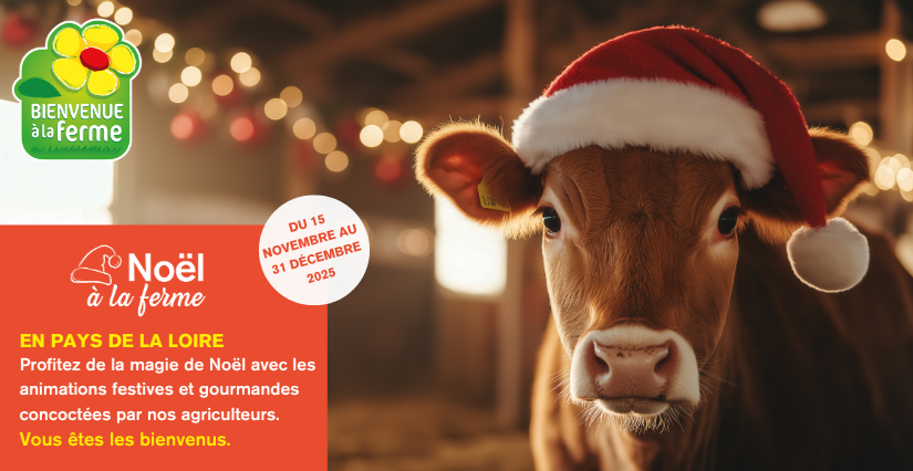 Opération "Noël à la ferme" dans les fermes du Réseau Bienvenue à la ferme, en Vendée