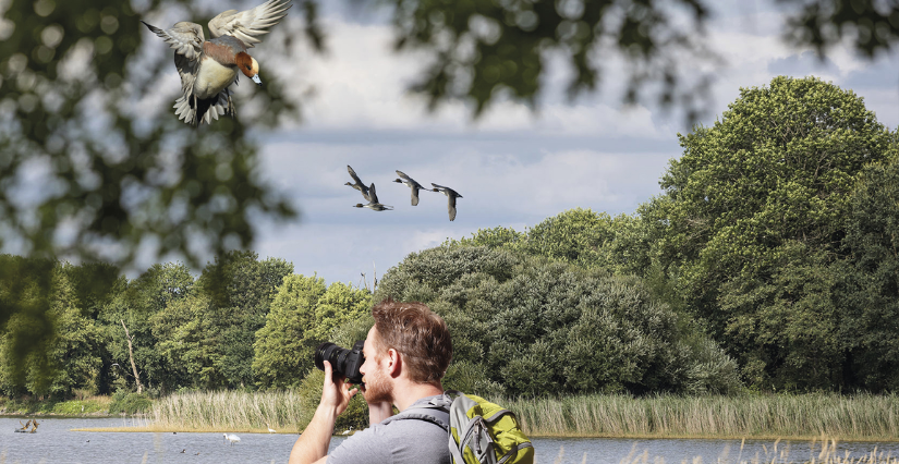 La Cité des Oiseaux, un rendez-vous avec la nature aux Landes Génusson