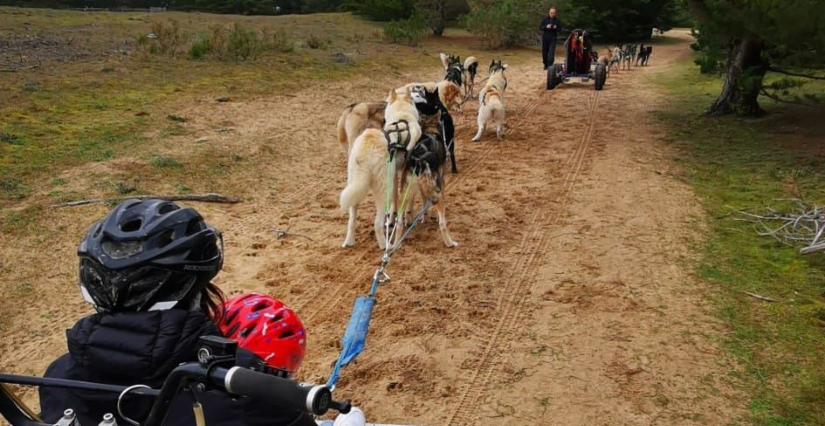 Baptême en cani-kart et cani-randonnée avec Doggy'sport !