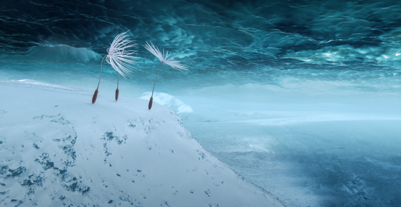 Avant première du film "Planètes" au cinéma le Concorde de la Roche-sur-Yon