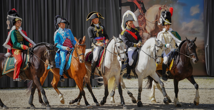 Animations, spectacles et visites pendant L'Eté au Haras à la Roche-sur-Yon