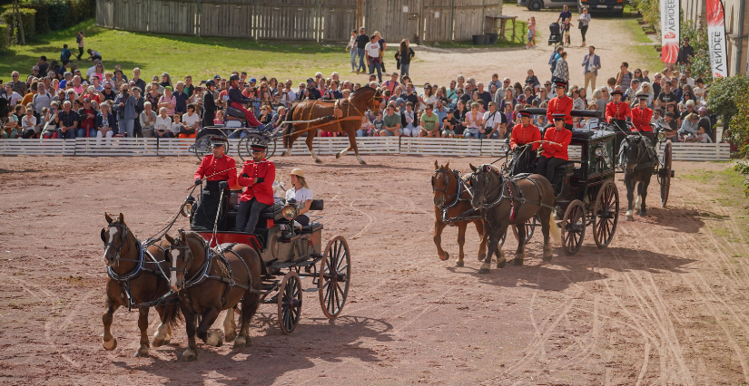 Journées Européennes du patrimoine au Haras de la Vendée