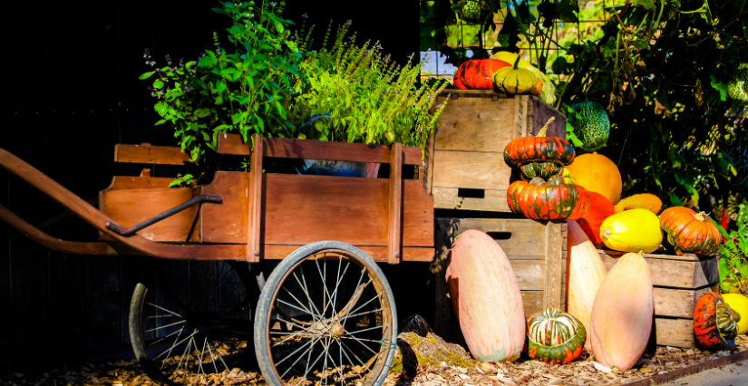 Profitez du Potager Extraordinaire pendant les vacances d'automne et avant sa fermeture annuelle !