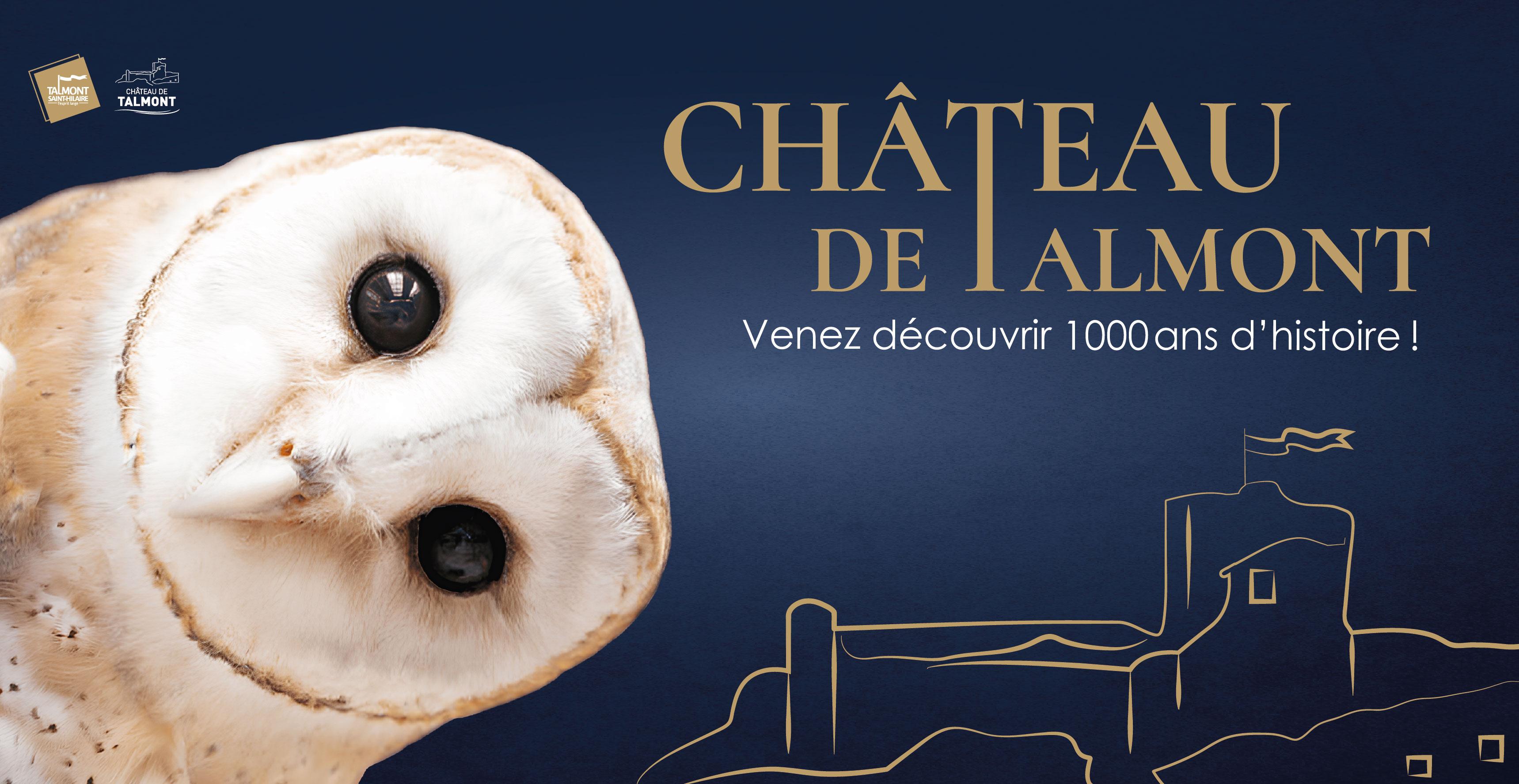 Château de Talmont - Plongez en famille au cœur du Moyen-Âge !