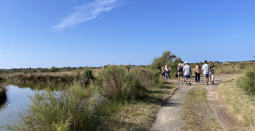 Balade nature "Au fil du marais" à L'île-d'Olonne