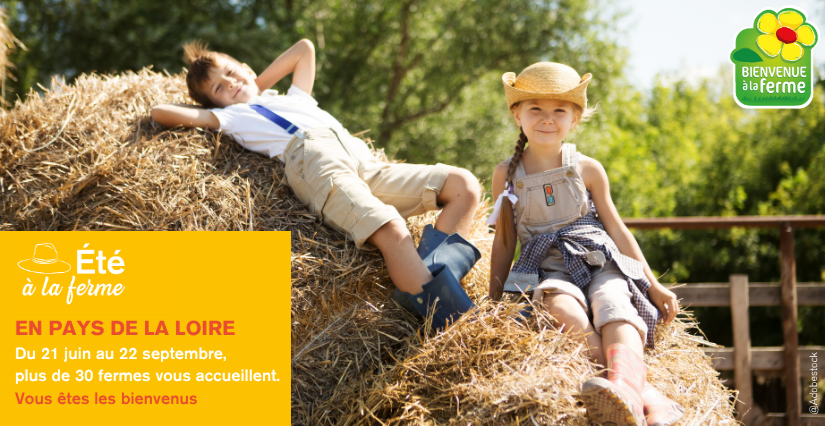 Découvrez les animations proposées dans les fermes de Vendée dans le cadre de l'Été à la ferme !