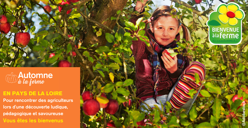 Découvrez les animations proposées dans les fermes de Vendée dans le cadre de l'Automne à la ferme !