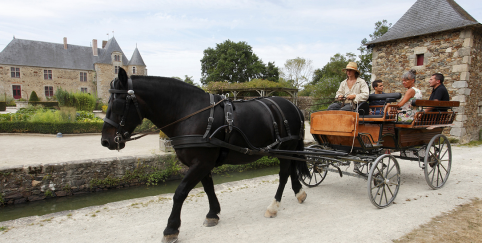 Promenade en calèche au Logis de la Chabotterie