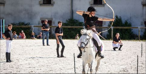 La voltige : sport équestre et discipline alliant dressage et acrobaties