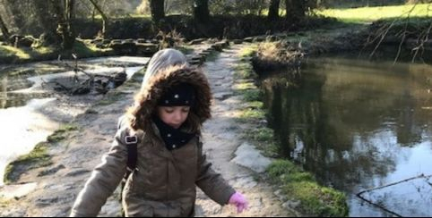 Parc de la Barbinière, balade en famille à Saint-Laurent-sur-Sèvre