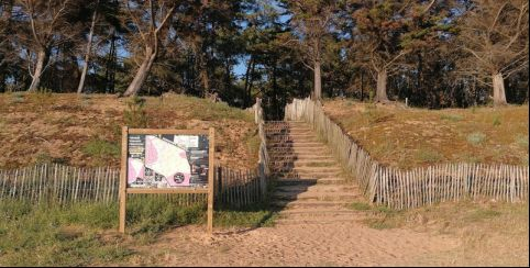 Les parcours permanents d'orientation à faire en famille aux bois de Tanchet, les Sables d'Olonne