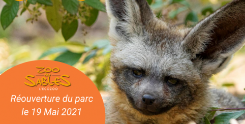 Réouverture du Zoo de Sables aux Sables d'Olonne