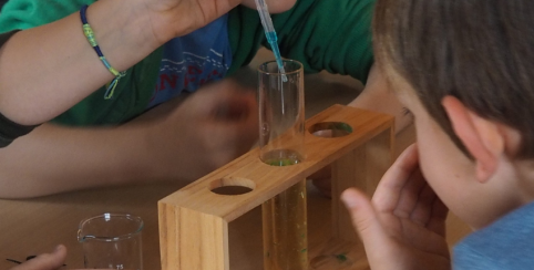 Deviens savant, atelier au Manoir des Sciences de Réaumur