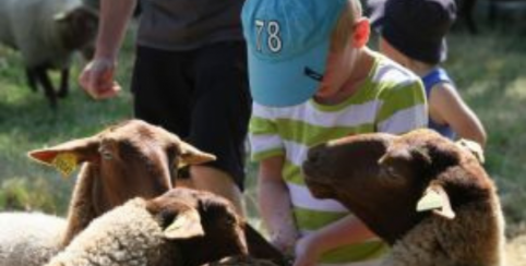 Atelier des petits fermiers à la Ferme du Marais Poitevin