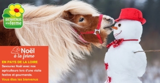 Noël à la ferme, animations en famille avec Bienvenue à la ferme en Vendée 