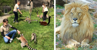 "Dans la peau d’un soigneur", activité ados à Natur'Zoo